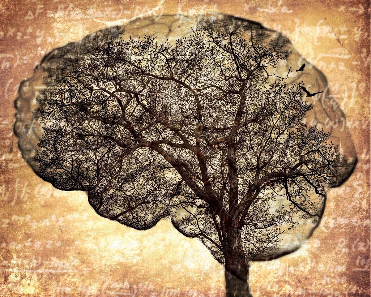 Brain project. Мозговое дерево. Дерево мозги. Дерево мозг арт. Дерево мозг вектор.